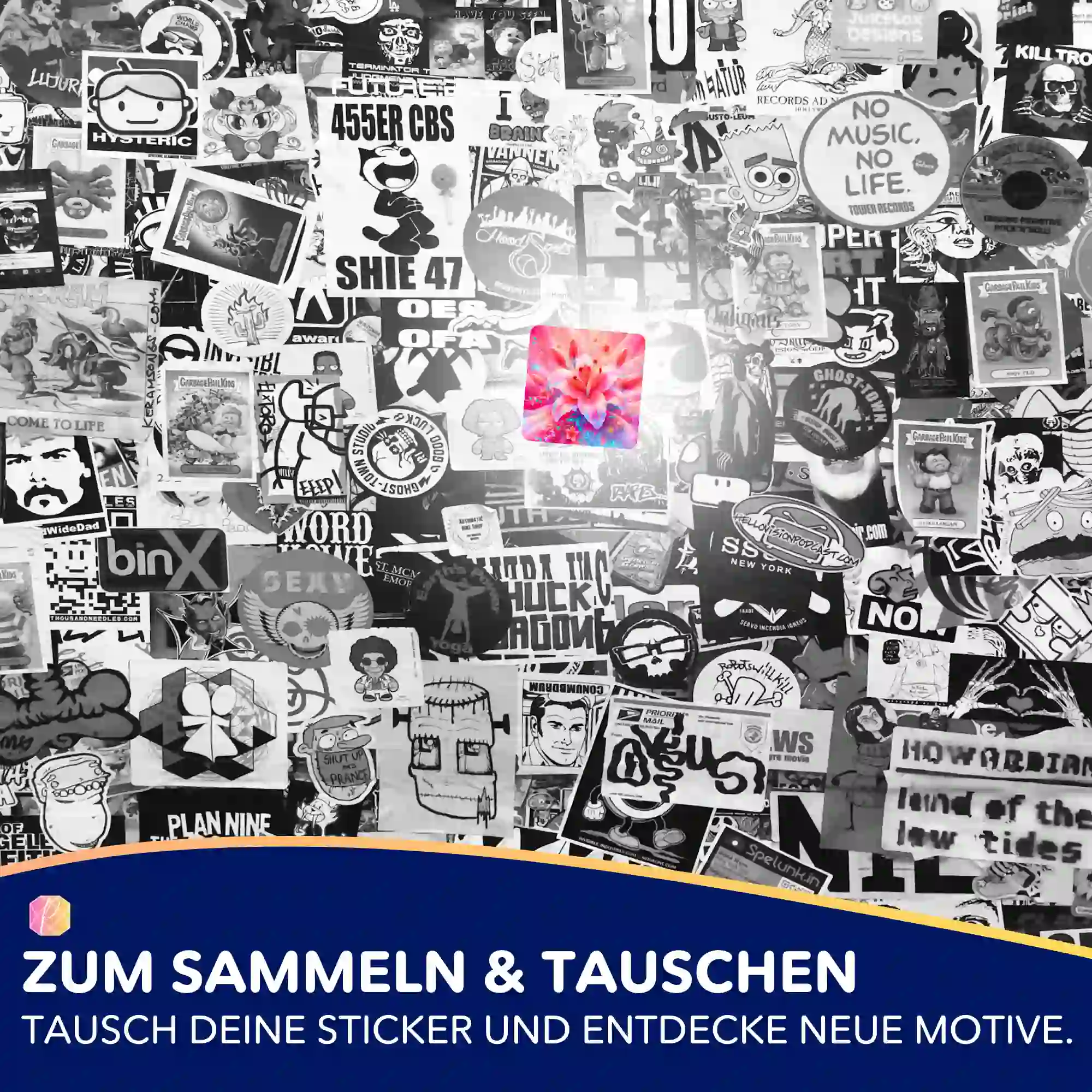 Vorschaubild 5