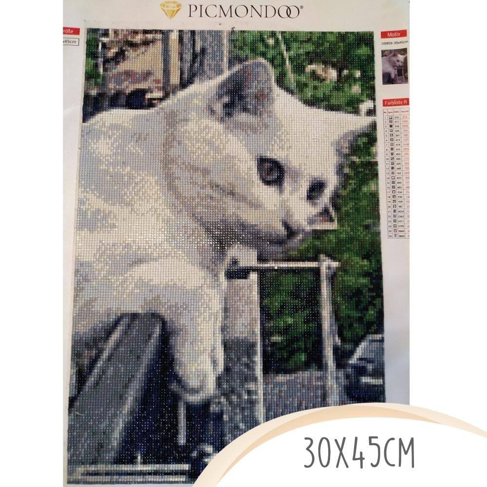 Vorschaubild 15