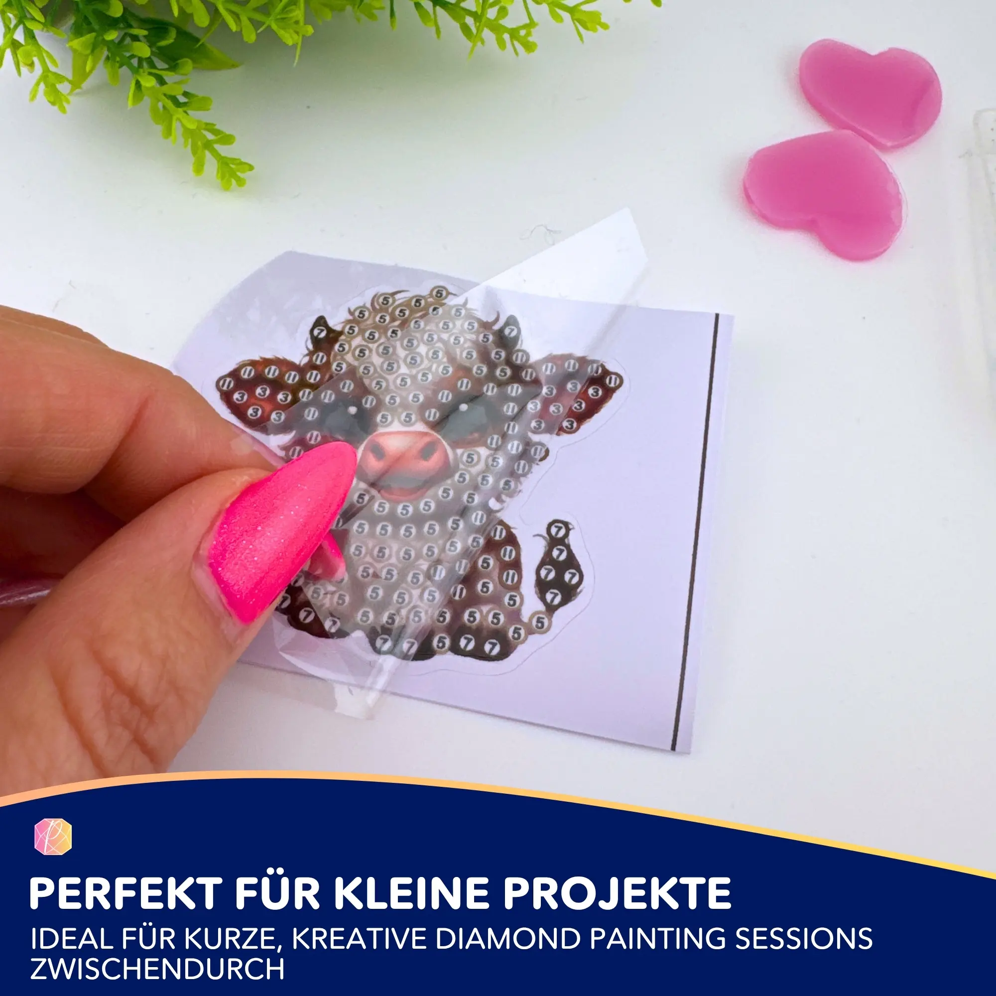 Vorschaubild 5
