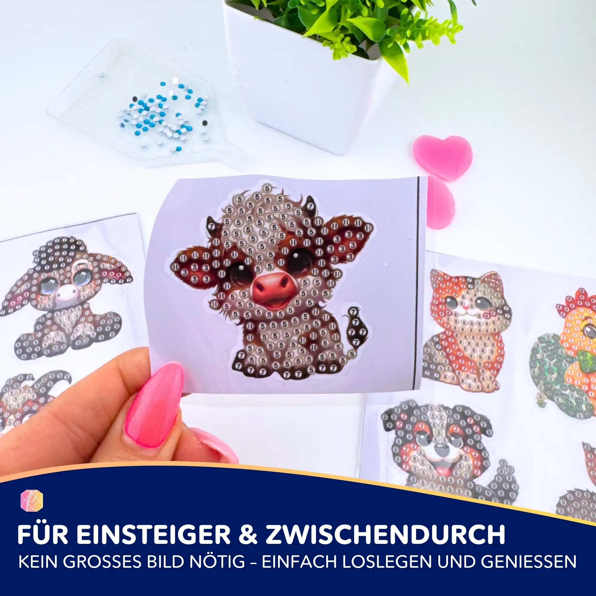 Vorschaubild 7